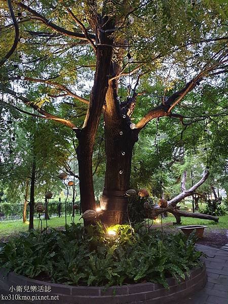 彰化北斗美食-家園藝術咖啡牛排館