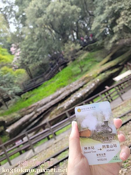 嘉義景點．阿里山森林遊樂區