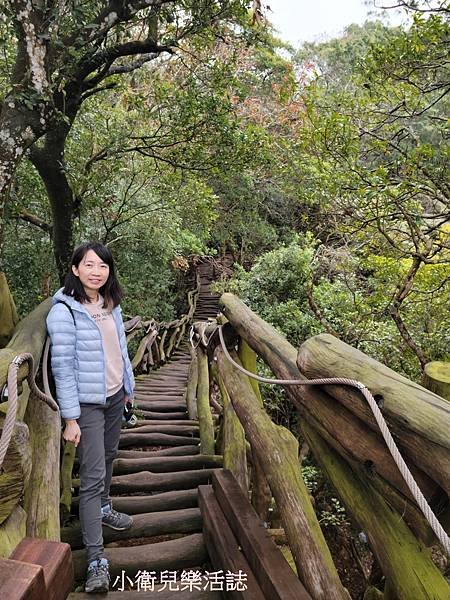 台中景點-大坑五號登山步道