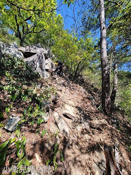 台中登山推薦．谷關七雄．東南稜上東卯