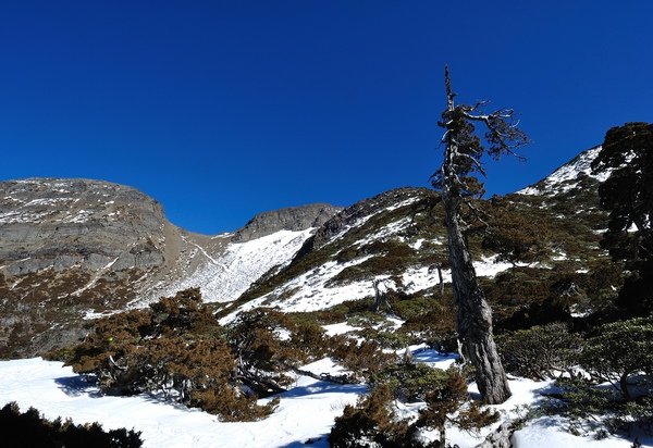 DSC_0312-1.jpg