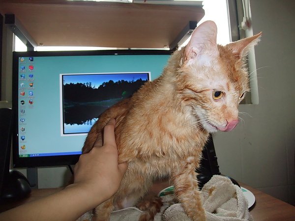 DSCF5125.JPG