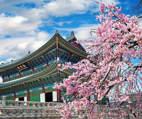 方案三：首爾購物美食之旅｜遊玩時間：2025 年 3 月 26 日至 2025 年 3 月 31 日