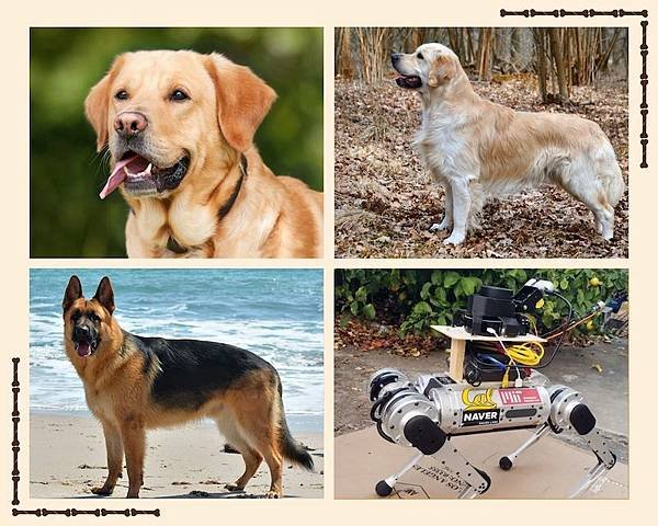 see-guide-dogs-and-ai-dog.jpg