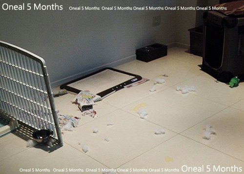 oneal5months-4.jpg