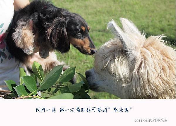 201106我們的花蓮-05.jpg