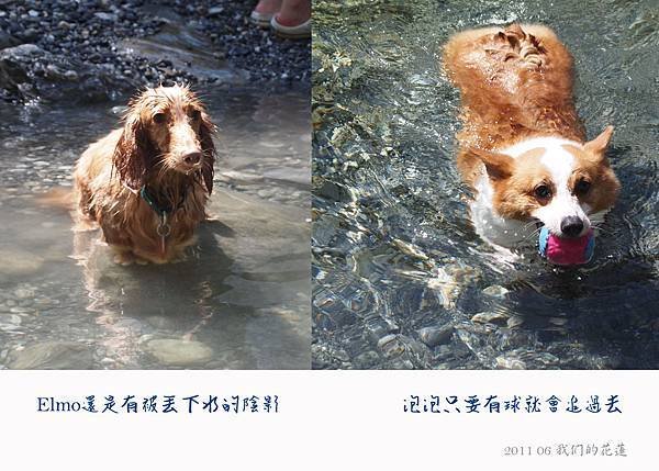 201106我們的花蓮-11.jpg
