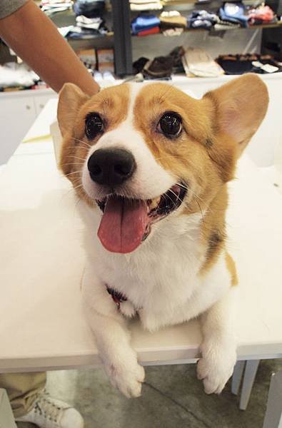 20110730-6.jpg
