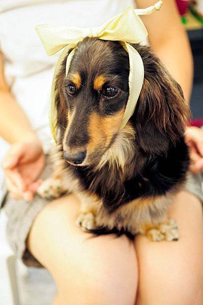 20110730-10.jpg
