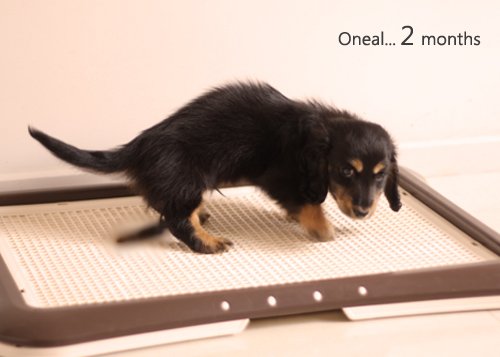 Oneal2months-10.jpg