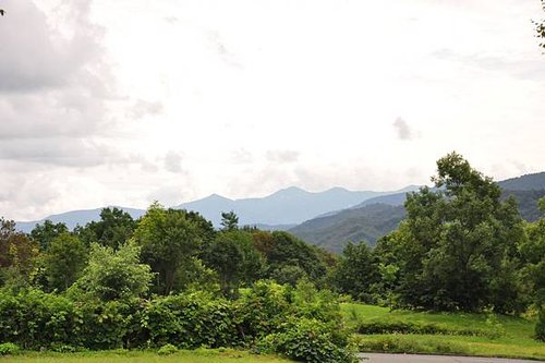 DSC_0295.JPG