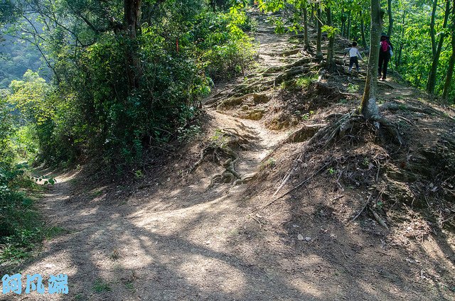 _DSC0086