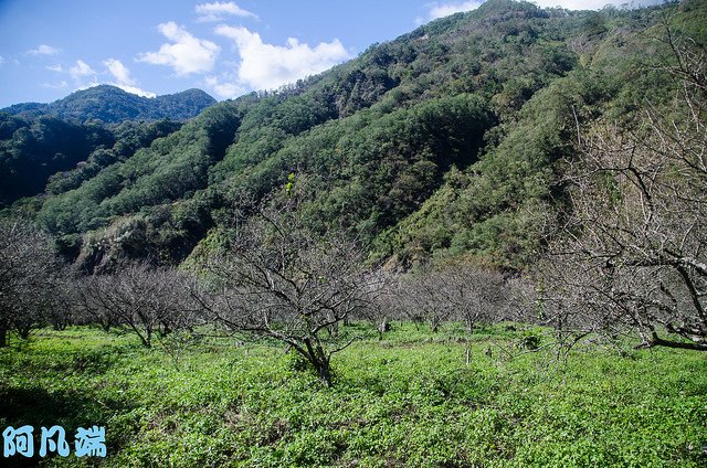 _DSC0120