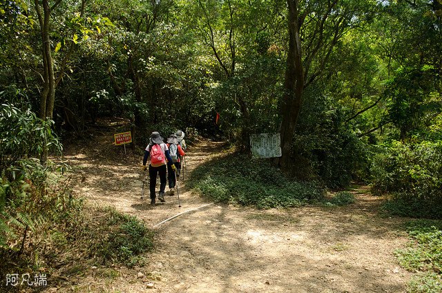 _DSC0091