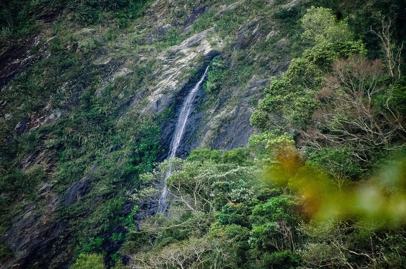 _DSC0067
