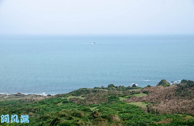 _DSC0044