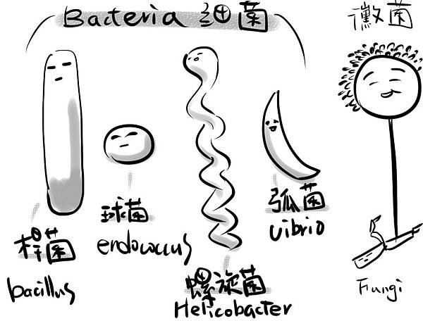 微生物-5.jpg