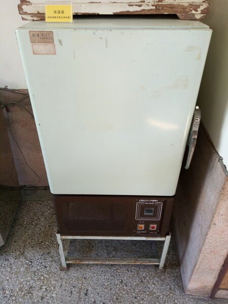1626000144-2265994852-g_n.jpg