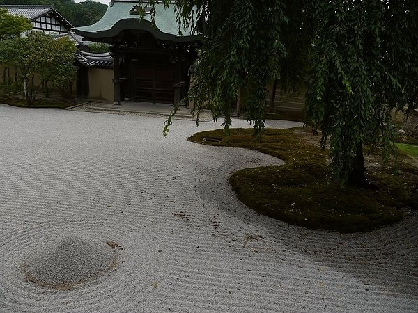 P1070390.jpg