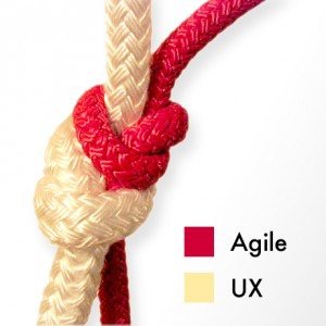 agile-ux1-300x300