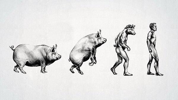 evolution_of_pig_man