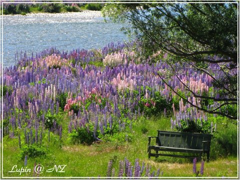 058 Lupin