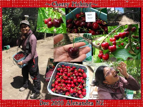 062 cherry picking