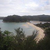 IMG_5378.jpg