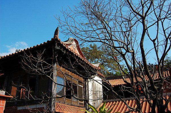 DSC_3712.jpg