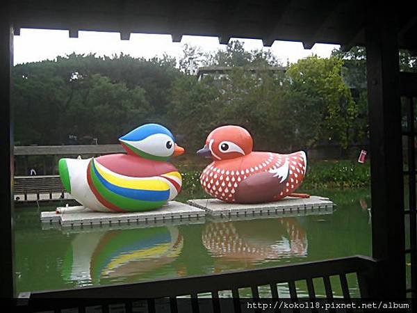 102.11.2 麗池-雙喜鴛鴦5.JPG