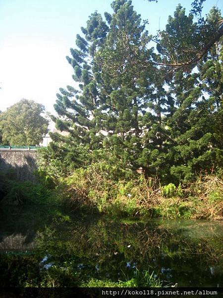 103.1.1 清華大學.JPG