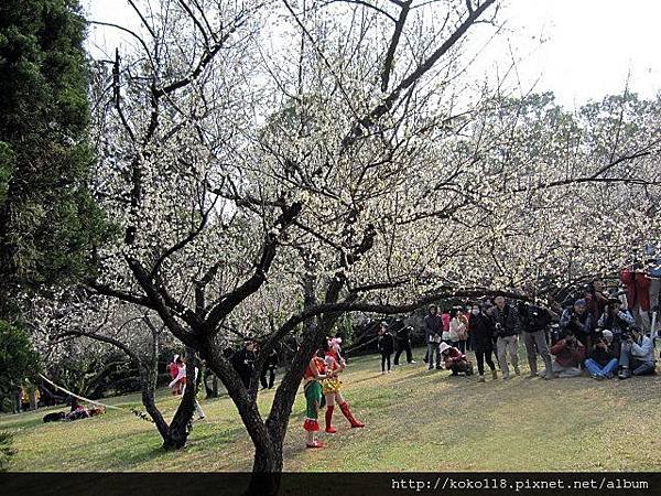 104.1.17 清華大學-梅園65.JPG