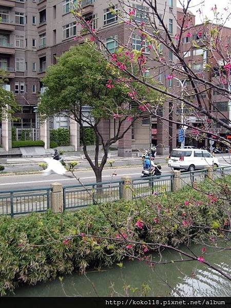 104.3.1 新竹公園-麗池.JPG
