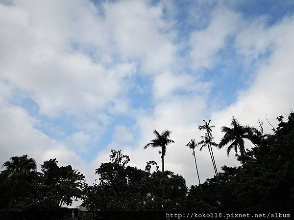 105.1.16 新竹市親水公園-天空.JPG
