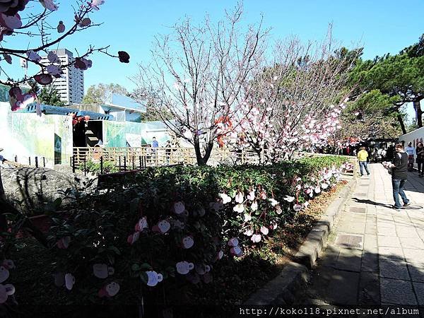 105.2.13 新竹市立動物園-猴舍.JPG