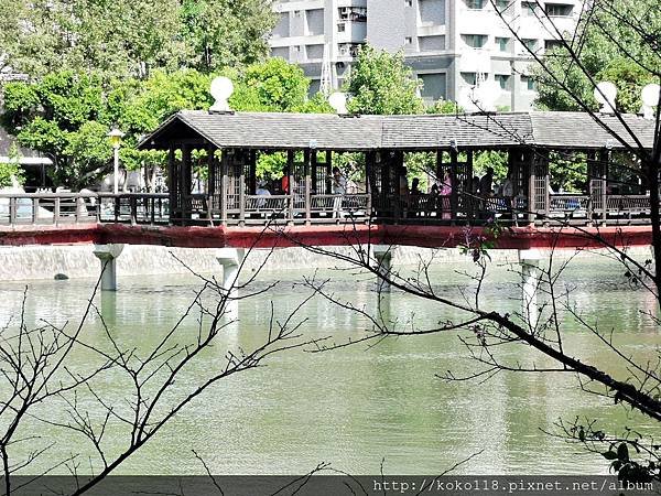 105.11.20 麗池-九曲橋.JPG