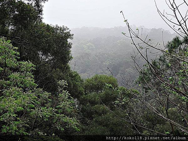 107.3.3 空污中的十八尖山-國父紀念亭前景.JPG