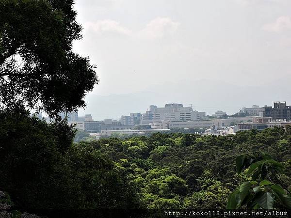 107.3.28 十八尖山5.JPG