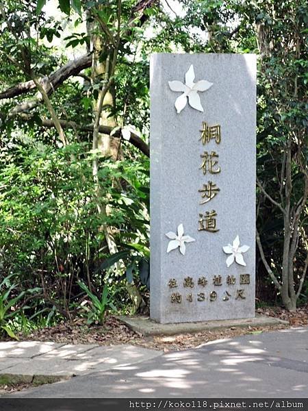 107.3.28 十八尖山-桐花步道.JPG