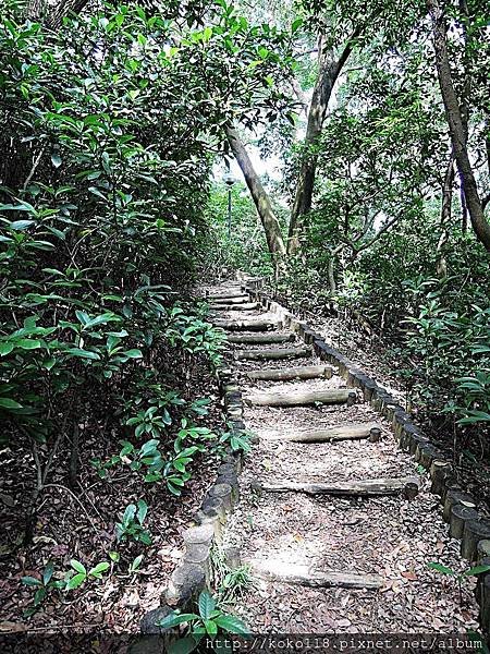 107.5.13 十八尖山.JPG