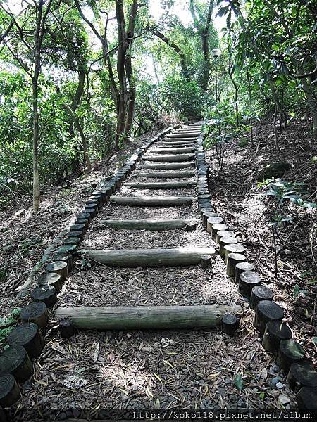 107.10.6 十八尖山-小徑.JPG