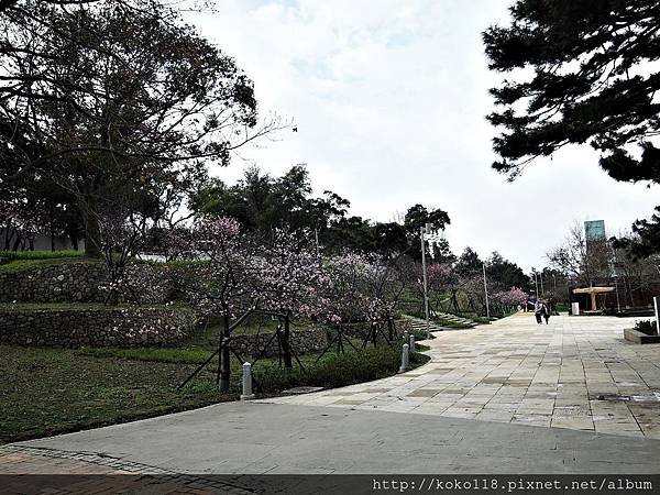 108.2.19 新竹公園.JPG