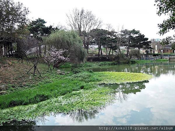 108.2.19 新竹公園-麗池1.JPG