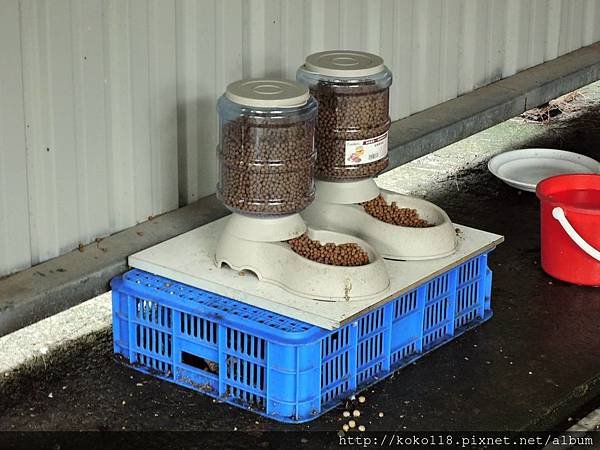 108.5.10 交通大學博愛校區-狗飼料.JPG