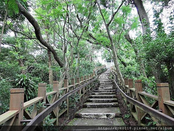 108.5.11 十八尖山-獅子亭後方階梯步道.JPG
