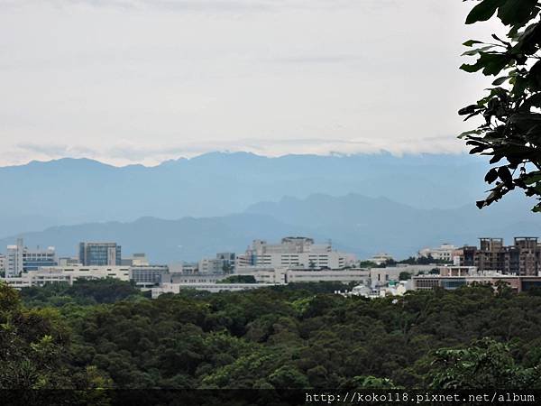 108.6.20 十八尖山5.JPG