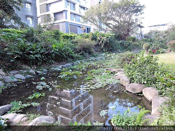 108.11.20 東山濕地生態教學公園.JPG
