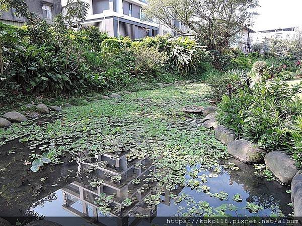 109.2.2 東山濕地生態教學公園-荷塘.JPG