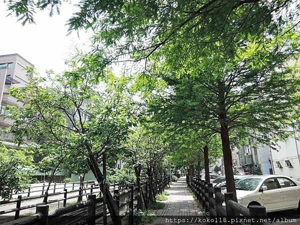 109.5.1 東山濕地生態教學公園外-落羽松.JPG