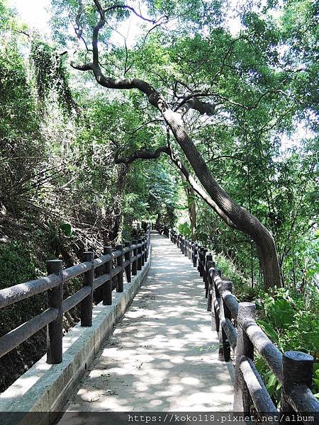 109.7.26 十八尖山-建華步道.JPG